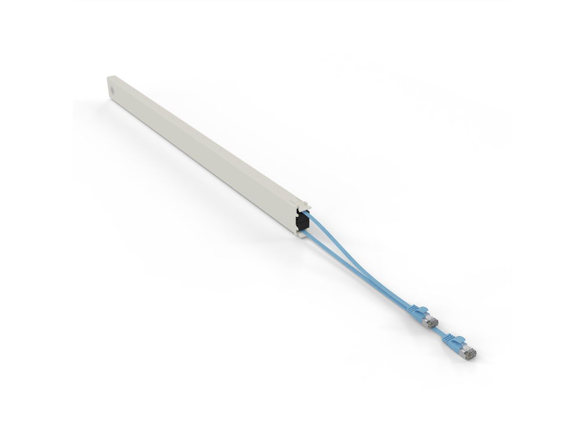 patchbox.one Cassette 46RU STP bleu Cat.6a 2,5 m
