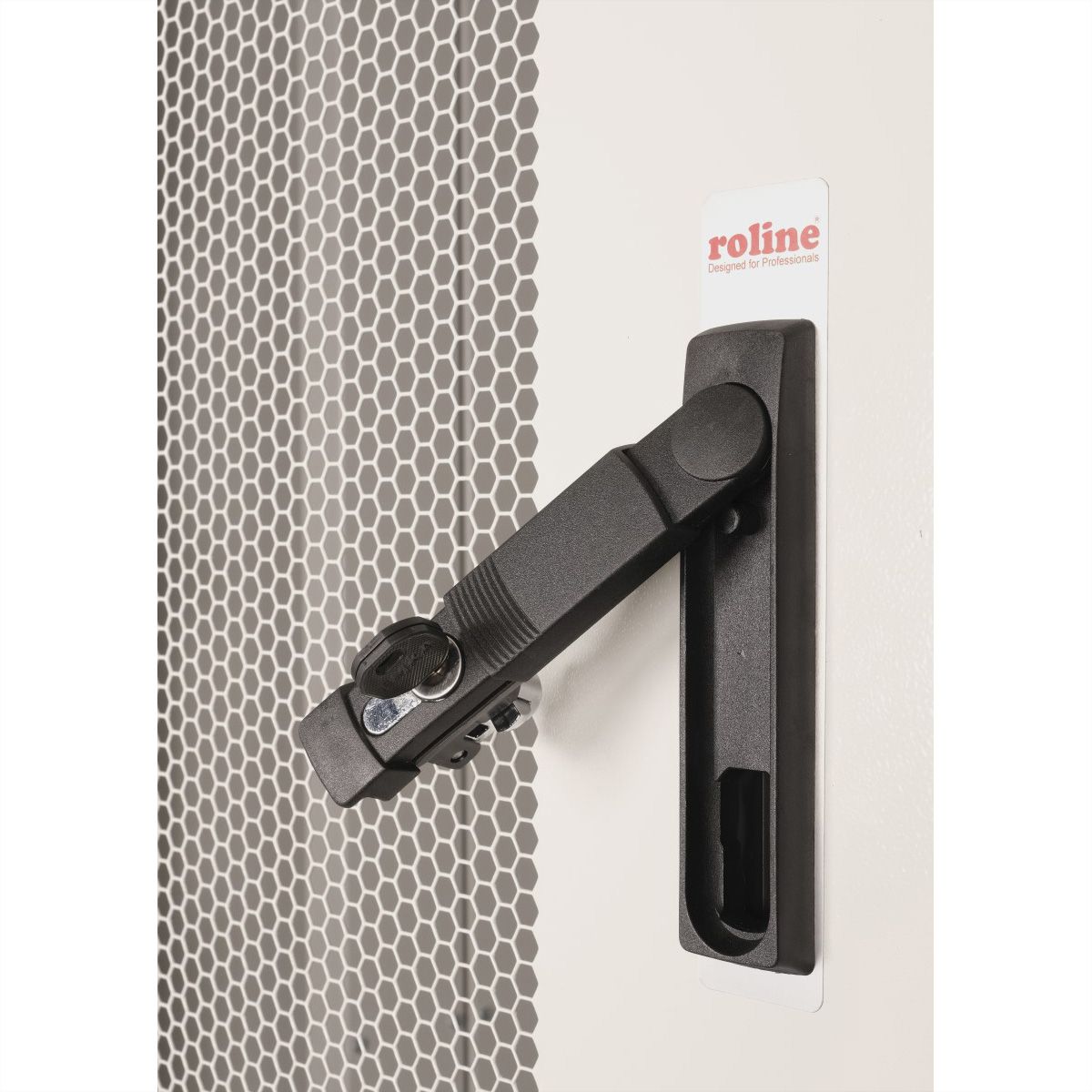 ROLINE Armoire de colocation 42U 800x1000mm, 2 compartiments, gris