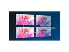 Philips LED-Video Wall 110HDL7012IA/00, 110", 1.26mm, 700cd/m²