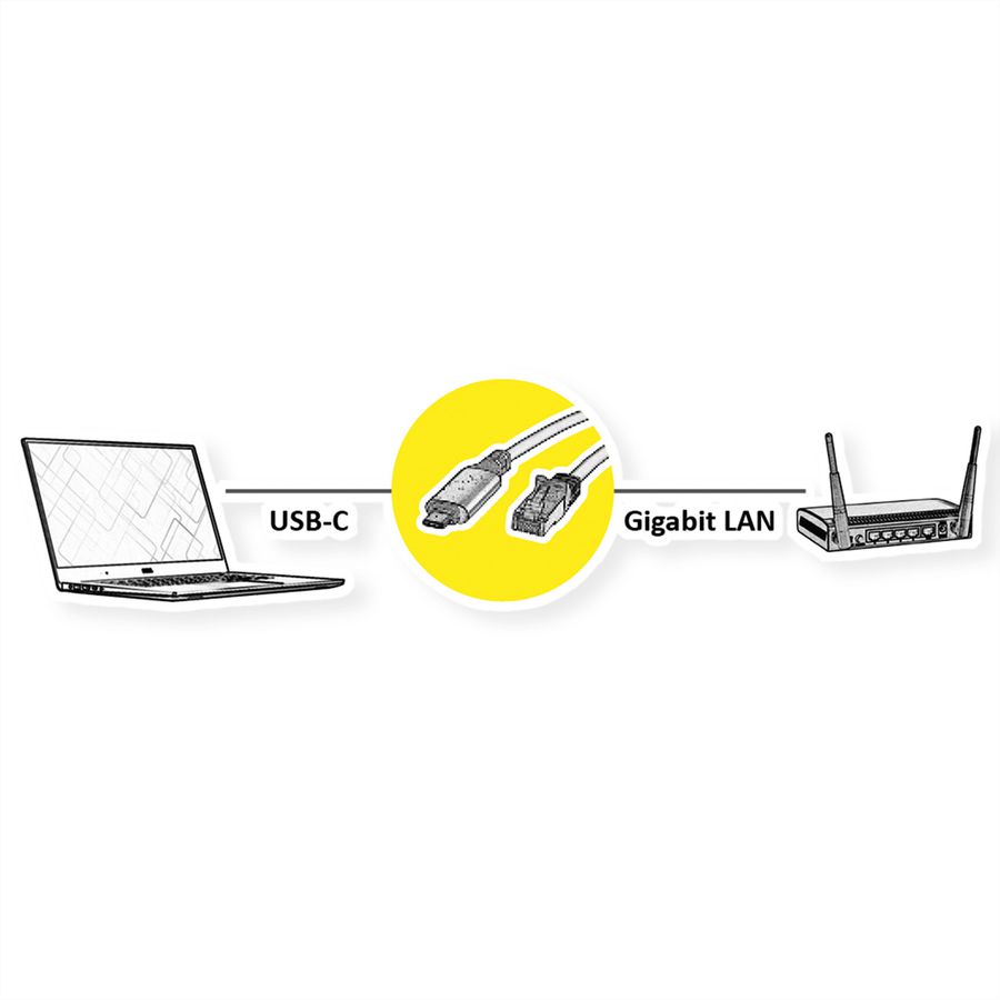 ROLINE Câble convertisseur USB-C - Gigabit Ethernet, noir, 1 m
