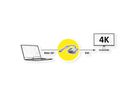 ROLINE GOLD 4K Adaptateur Mini DisplayPort-DVI, MiniDP M - DVI F