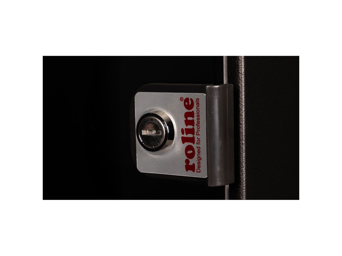 ROLINE 10-Zoll Wandgehäuse 12 HE, 312x300 BxT schwarz