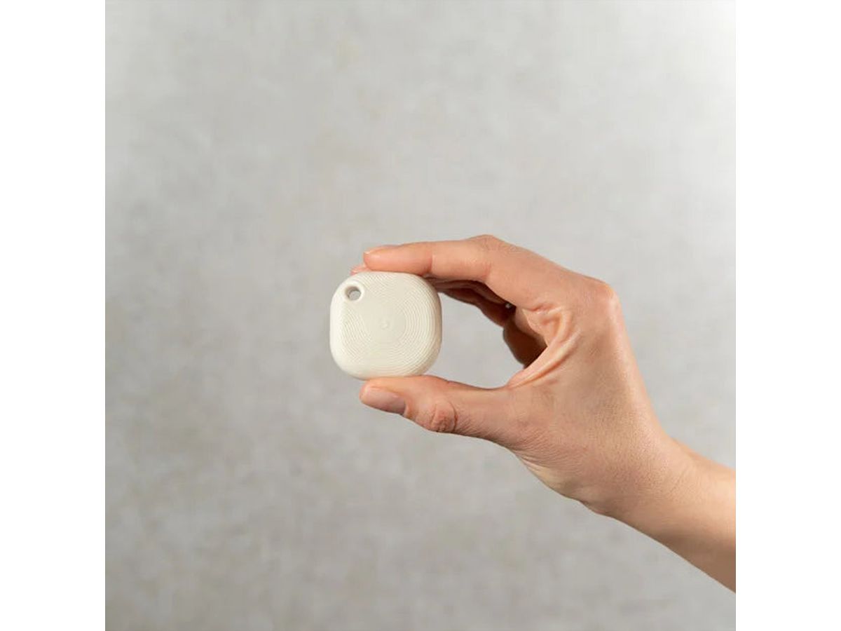 Shelly SchalterBlu Button Tough 1