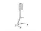 Hagor Wandhalterung ST SA Flip II 55, mobiles Standsystem für Samsung WM55H und WM55R, weiß