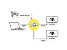 ROLINE HDMI Video-Splitter, 2fach