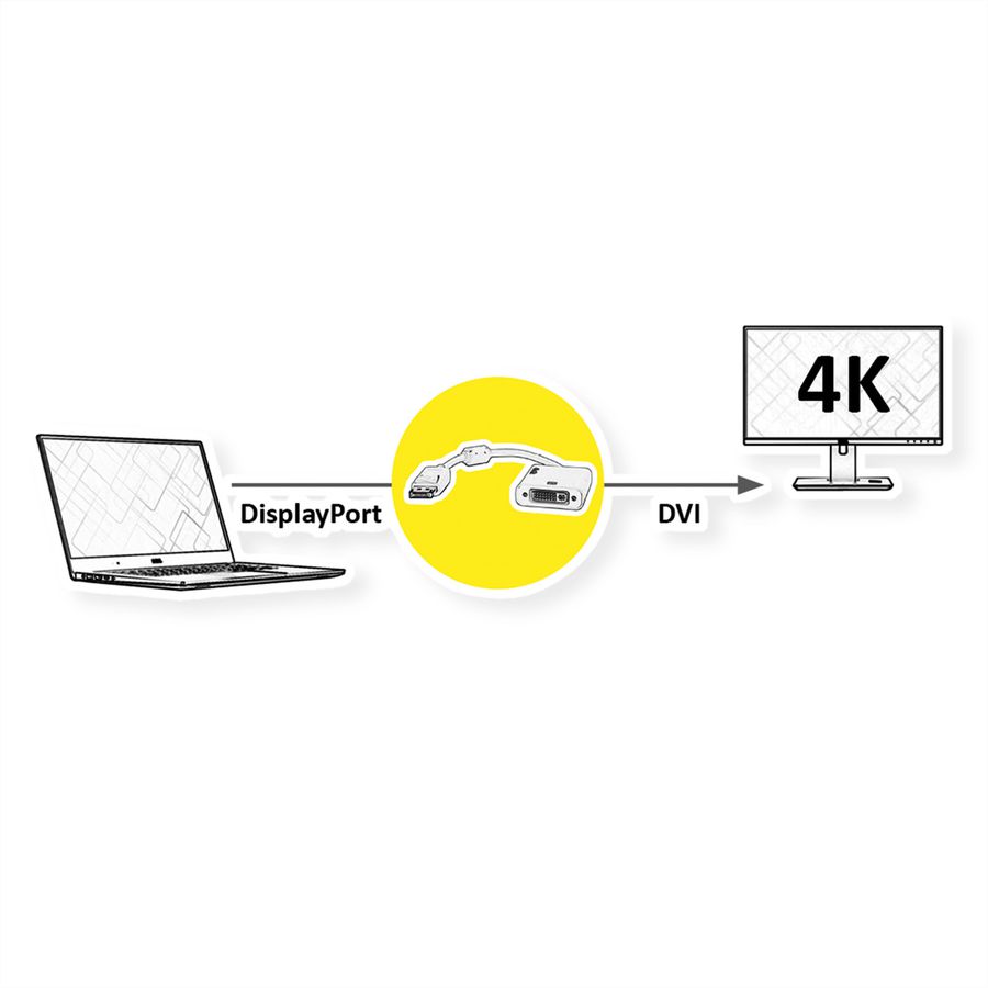ROLINE 4K Adaptateur DisplayPort - DVI, DP M-DVI F