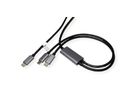 ROLINE Câble de chargement Y - Splitter, Type C vers 2x C, M/M, max. 100W, noir, 1,85 m