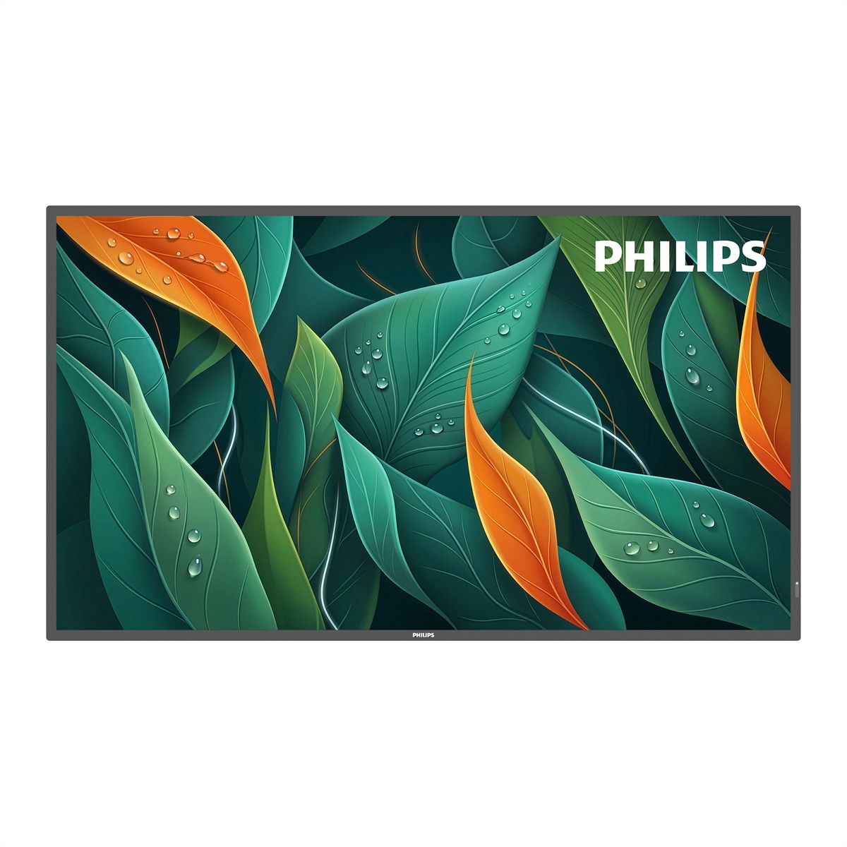 Philips Signage Display 43BDL4512D/00, 43", UHD, 24/7, 500cd/m²