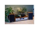 Lenco Hi-Fi Anlage MC-160WD holzfarben, TT, DAB, FM Radio, BT