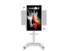Hagor Wandhalterung ST SA Flip II 55, mobiles Standsystem für Samsung WM55H und WM55R, weiß