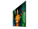 Samsung Digital Signage Display QH98C, 98'' 24/7, 700cd/m²