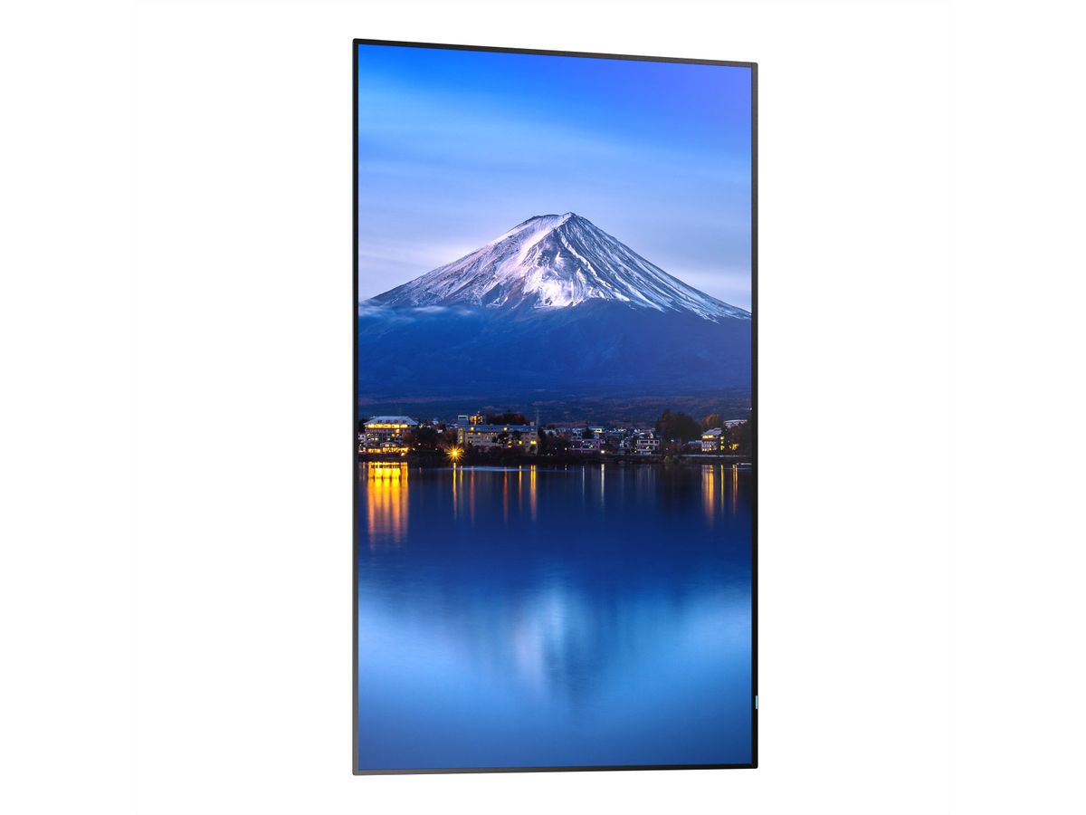 Sharp Signage Display MultiSync P556, 55", UHD, 24/7, 700cd/m²