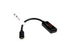 ROLINE Câble adaptateur USB-C - DisplayPort, v1.2, M/F, bidirectionnel, 0,2 m