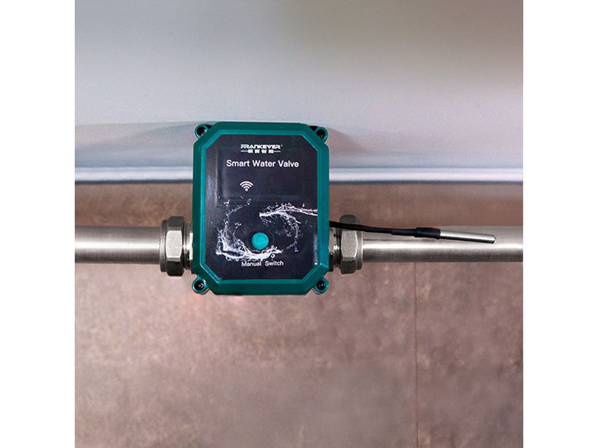 Shelly FrankEver Ventilsteuerung DN25