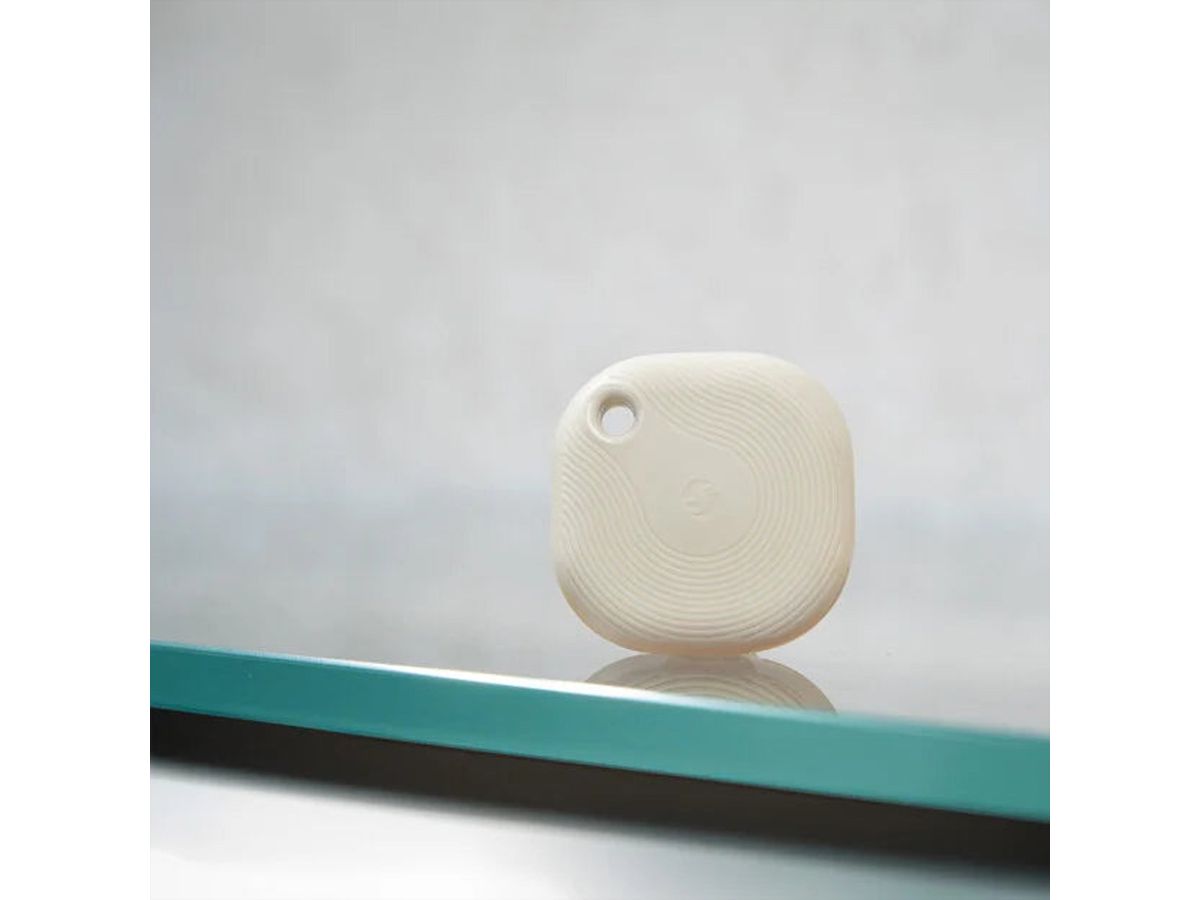 Shelly SchalterBlu Button Tough 1