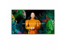 Samsung Digital Signage Display QM65C, 65'' 24/7, UHD 500cd/m²