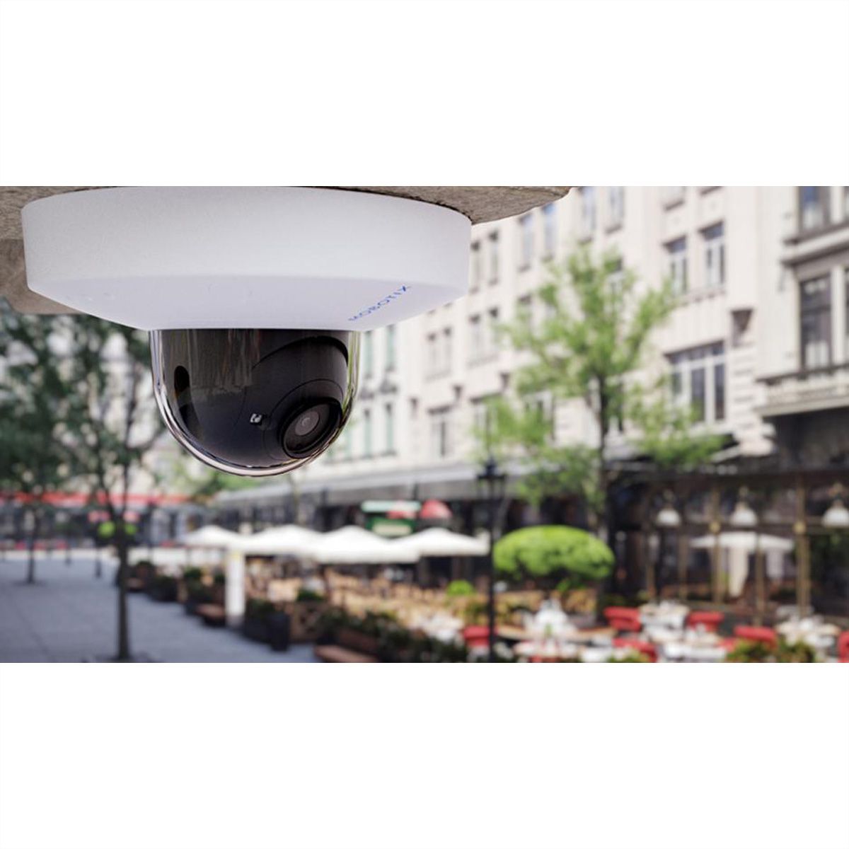 MOBOTIX D71B Dome Kamera 8 MP, 60°, IR-LED 30m