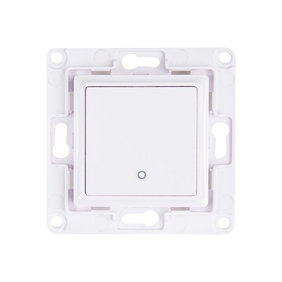 Shelly  Wall Switch encastré х1
