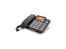 Gigaset Téléphone fixe DL580