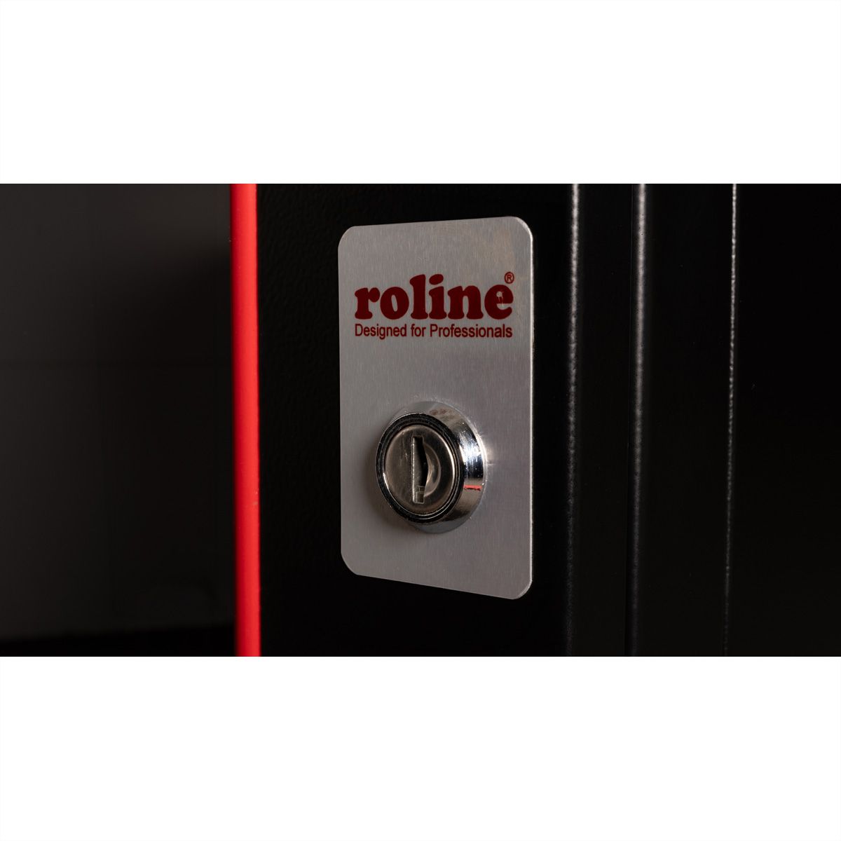 ROLINE 19-Zoll Wandgehäuse Pro 16 HE, 600x600 BxT zweiteilig schwenkbar schwarz