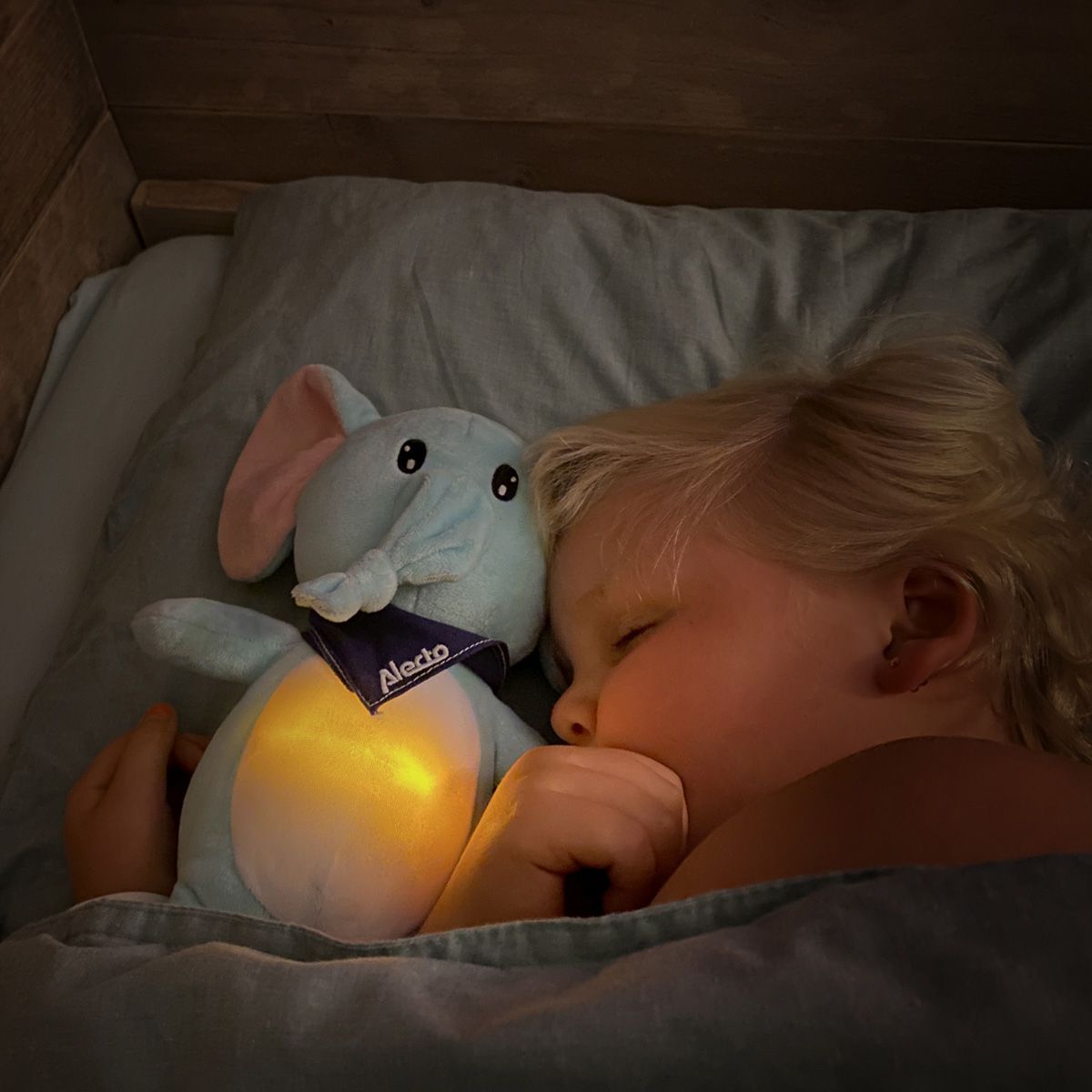 Alecto Doudou avec son BC-350, Bleu