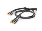 Nedis CROLINE Câble 3,5mm / 2x RCA M, 2 m
