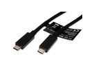 ROLINE Câble USB 3.2 Gen 2, avec PD, C-C, M/M, 4K UHD-1, 10Gbit/s, Emark, 100W, noir, 2 m