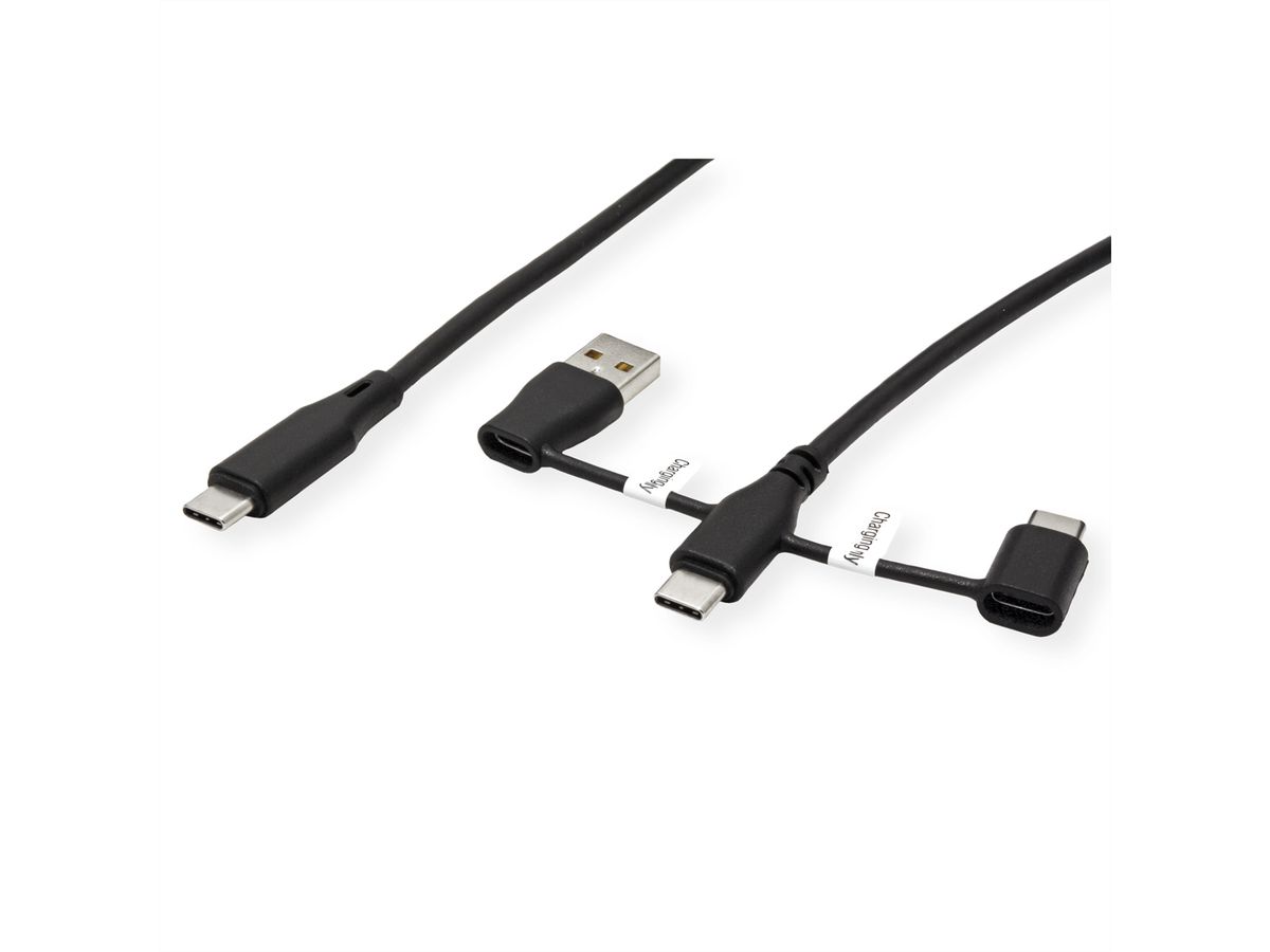 ROLINE Câble USB 2.0 type C, M/M, avec protecteur de données USB, type A+c, 1 m