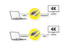 ROLINE Adapterkabel USB-C - DisplayPort, v1.2, bidirektional, ST/ST, 2 m