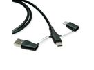 ROLINE Câble USB 2.0 type C, M/M, avec protecteur de données USB, type A+c, 1 m