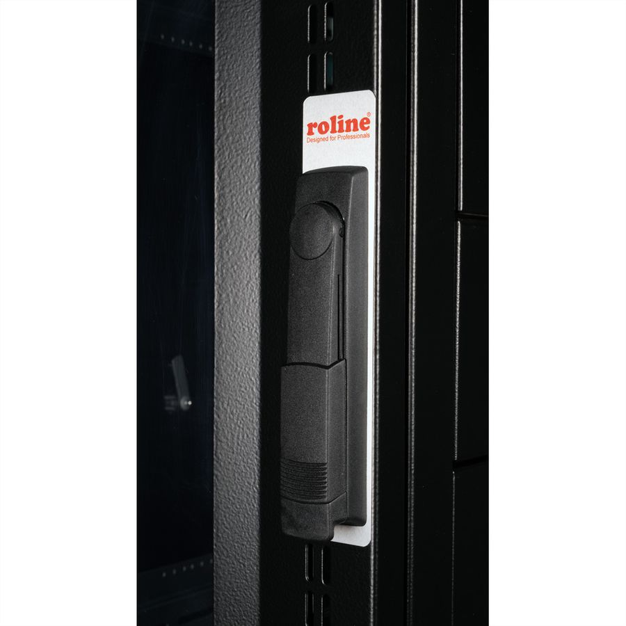 ROLINE 19" Baie serveur Pro 42U, 600x1000 LxP noir Plexiglas