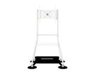 BenQ Rotating Rolling Stand MT01R, 55", 60kg, 400x400mm