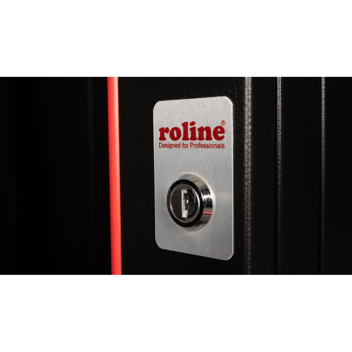 ROLINE 19-Zoll Wandgehäuse Pro 20 HE, 600x600 BxT zweiteilig schwenkbar schwarz