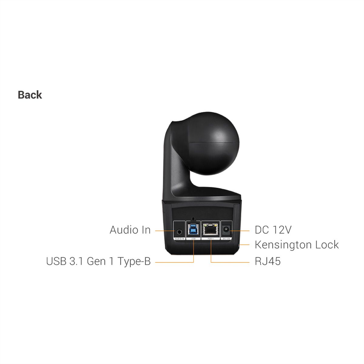Aver Tracking-Kamera Fernunterricht DL10, schwarz
