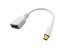 ROLINE Adaptateur DisplayPort, DP F - Mini DP M