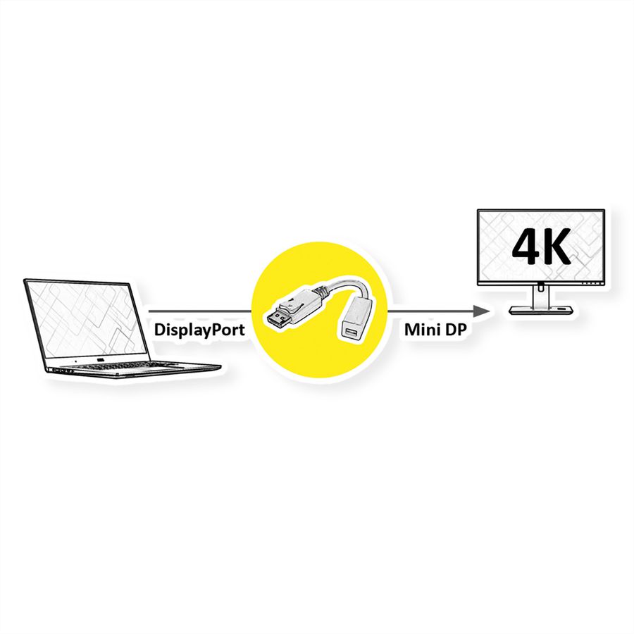 ROLINE Adaptateur DisplayPort, DP M-Mini DP F