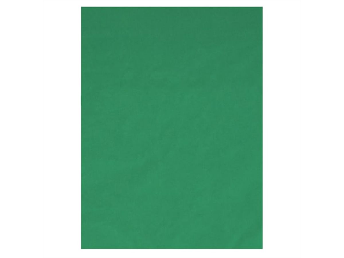 T'nB Influence Studio Pack 1x Tripod 1x10" LED Ring,1xTelehalter,1x Greenscr