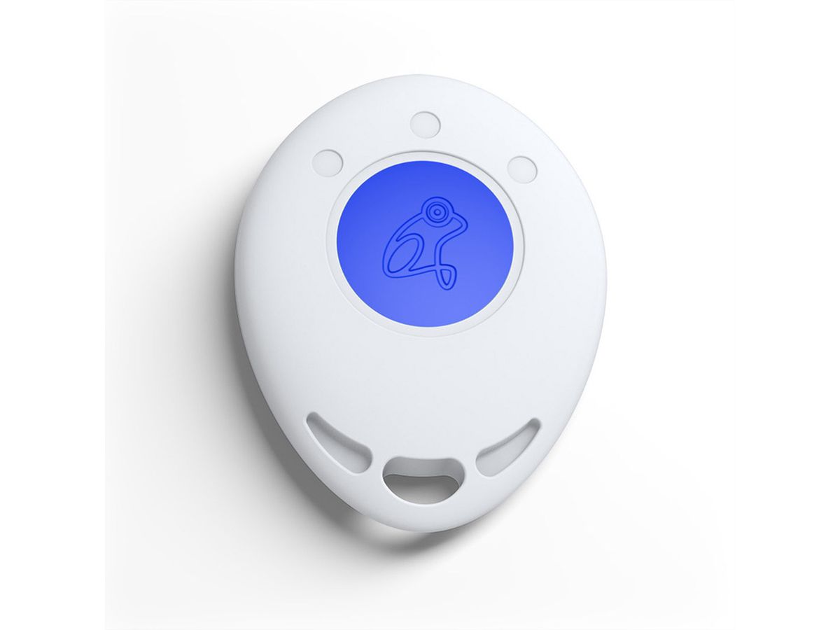 Fragblue frogKey-RFID