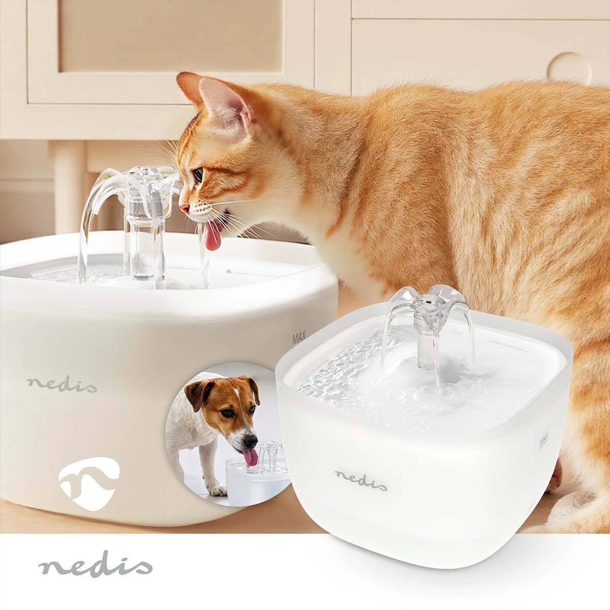 Fontaine à eau pour animaux Nedis 2 l, blanc