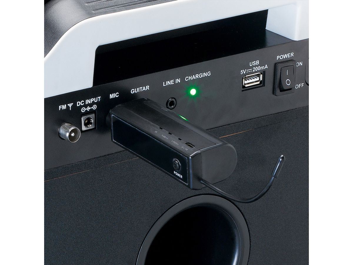 Lenco 2x Wireless Mikrofon MCW-020BK