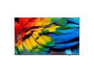 Philips Hotel TV 65HFL6214U/12, 65", UHD, 400cd/m², Netflix