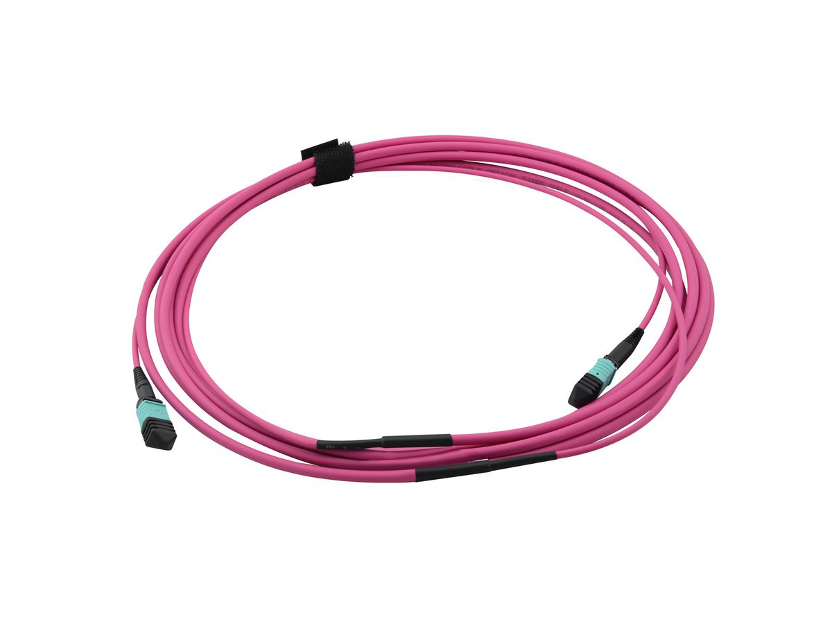 VALUE MPO-Trunk-Kabel 50/125µm OM4, MPO/MPO, violett, 3 m