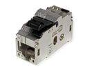 BACHMANN Keystone CAT6 Klasse Ea STP Kupplung RJ45 geschirmt 10GBit, metallic