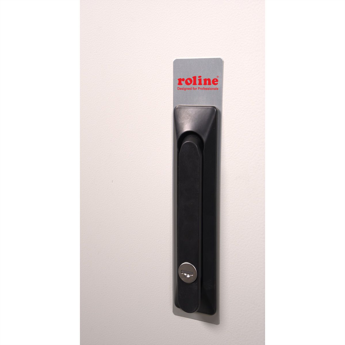 ROLINE 19-Zoll Wandgehäuse Pro 16 HE, 600x450 BxT IP55 outdoor grau