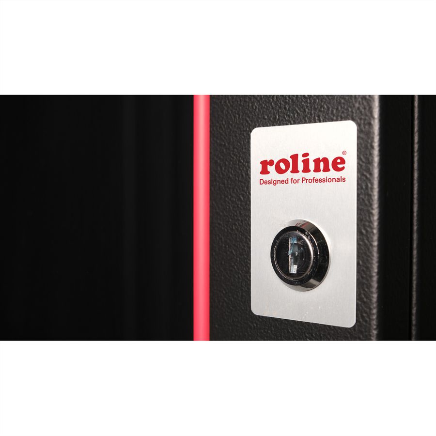ROLINE 19-Zoll Wandgehäuse Pro 12 HE, 600x600 BxT schwarz