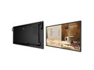 Philips Signage Display 43BDL6017P/00, 43", UHD, 24/7, 800cd/m², 25% Haze