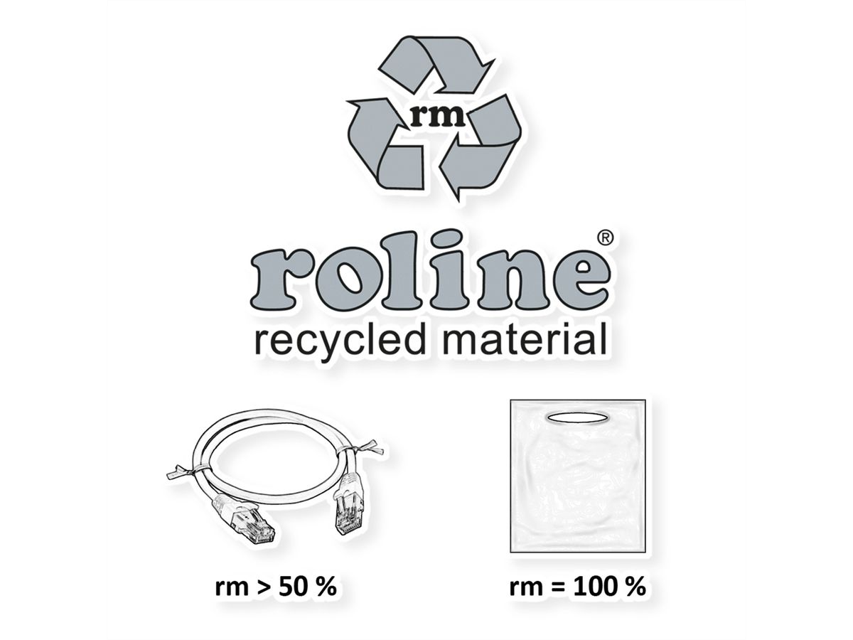 ROLINE RM Cordon Data Center UTP Cat.6A (Classe EA), slim, gris, 3 m