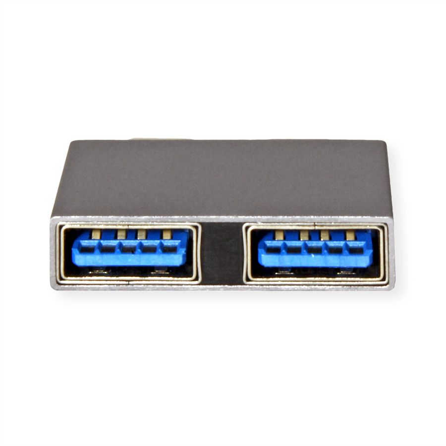 ROLINE Adaptateur USB 3.2 Gen 2, 2x USB Type C - 2x USB Type A,  M/F, argent