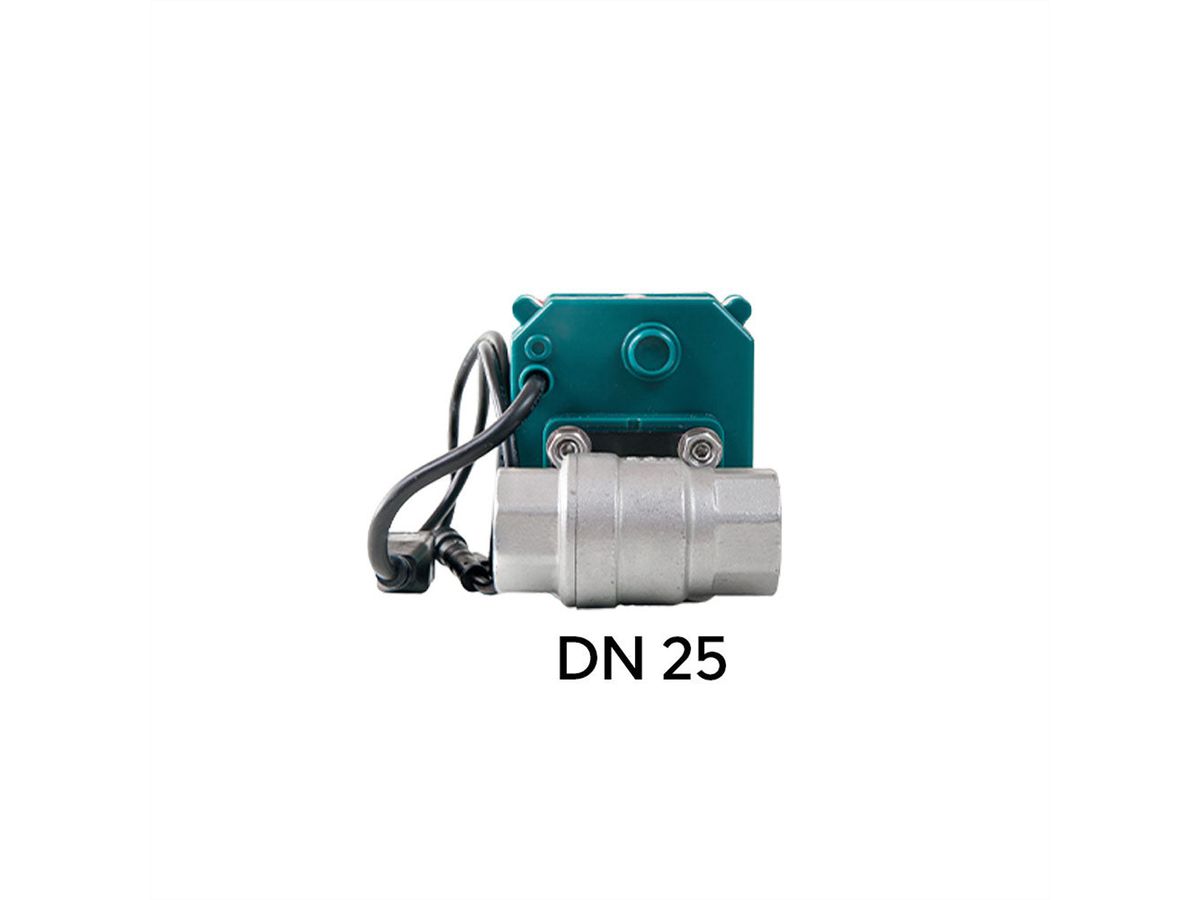 Shelly FrankEver Ventilsteuerung DN25