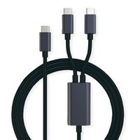 ROLINE Câble de chargement Y - Splitter, USB-C vers 2x USB-C, M/M, max. 100W, noir, 1,85 m